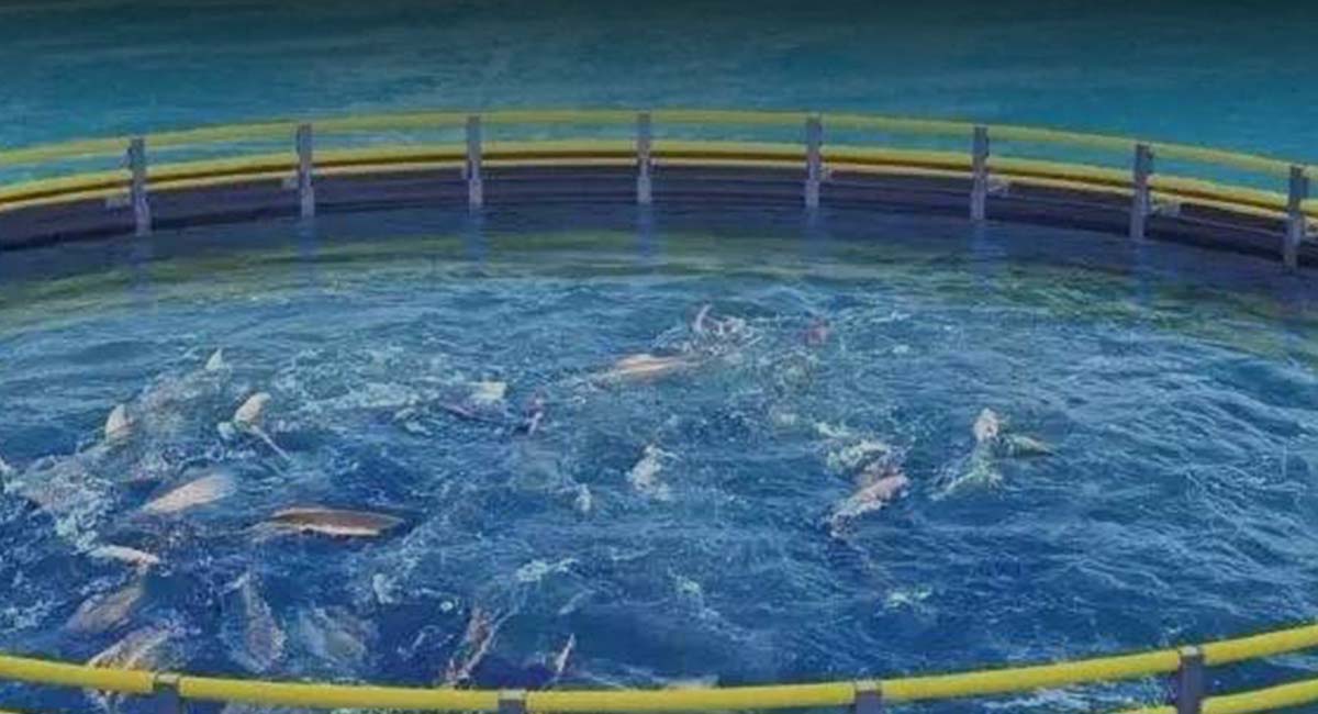 กรณีศึกษา