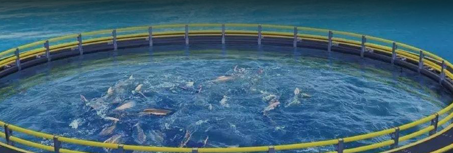 กรณีศึกษา