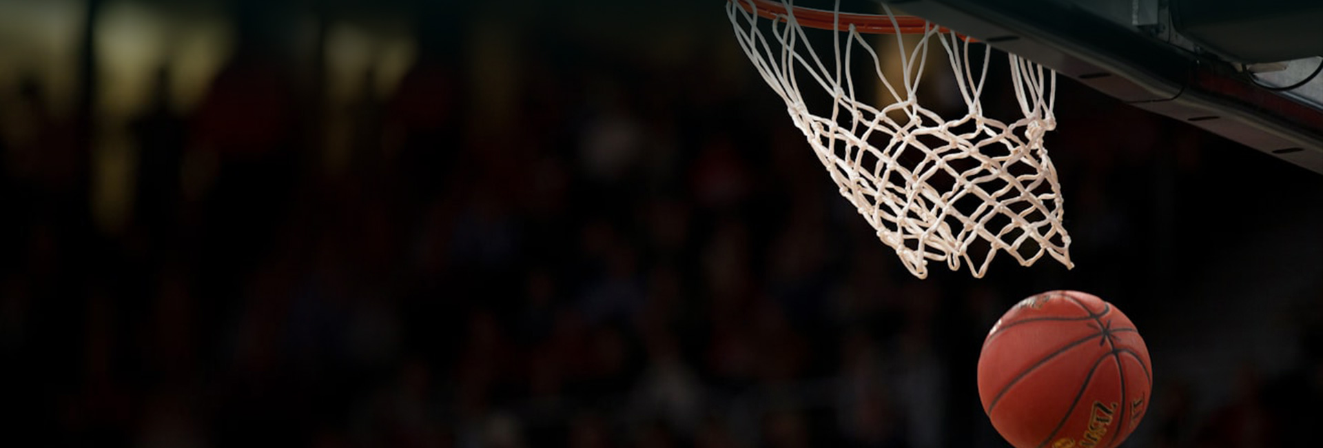 ติดต่อเรา