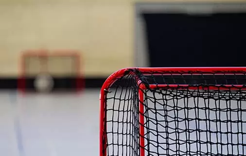 ชื่อวิดีโอ