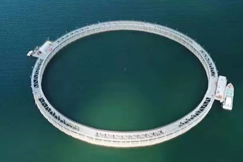 โครงการตาข่ายจับฉลามโรงแรมทรายตกปลาบ่าวเหนิง