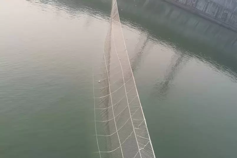 การเพาะเลี้ยงปลาสเตอร์เจียนจีนสามผาแม่น้ำแยงซีเกียง 255 เมตร